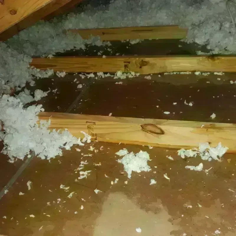 Attic Water Damage in Donley County, TX