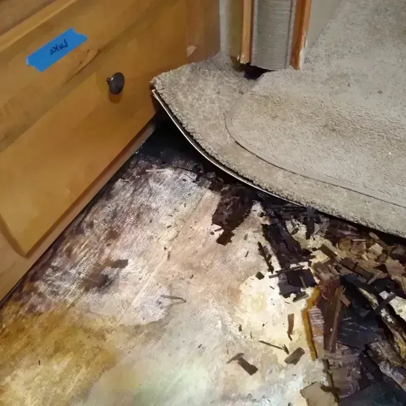 Best Wood Floor Water Damage Service in Donley County, TX